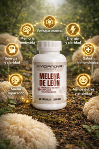 Melena de León: claridad y bienestar para tu día a día 🧠